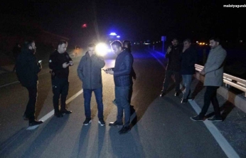 Malatya'da kaçan yarış atları karayoluna çıktı: 6 at telef oldu, 2 kişi yaralandı