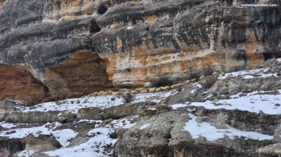 Bin 600 rakımda sürülerin yolculuğu