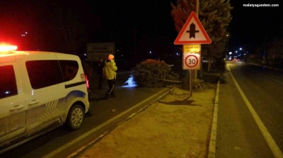 Fırtına ağaçları kökünden söktü