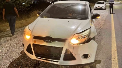 Malatya'da otomobilin çarptığı domuz telef oldu