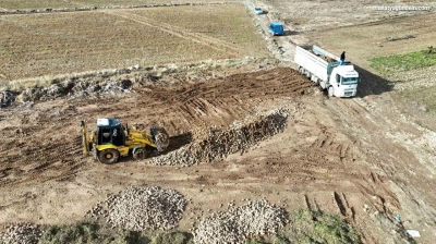 Şeker pancarında yüksek verim çiftçinin yüzünü güldürdü