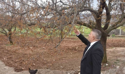 Sadıkoğlu: 'Verilecek destekler sadece kayısıyı değil, şehrimizin geleceğini ilgilendiriyor'