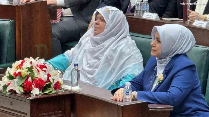 Deprem bölgesi için tarihi finansman modeli