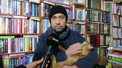 Konteynerde hayata tutunan sahaf, sokak kedilerini yalnız bırakmadı