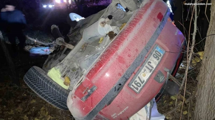 Kontrolden çıkan otomobil kayısı bahçesine uçtu: 1 yaralı