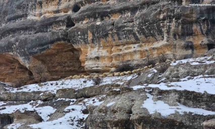 Bin 600 rakımda sürülerin yolculuğu