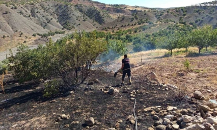 Hekimhan'da ormanlık alanda çıkan yangın söndürüldü