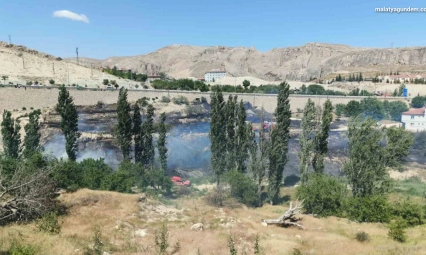 Malatya'da ot yangını