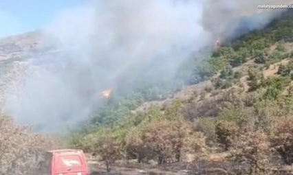 Malatya'daki orman yangını söndürüldü