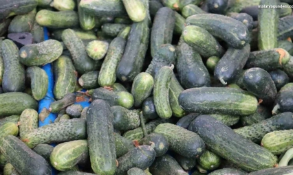 Vatandaş pahalı bulsa da almaktan vazgeçemiyor