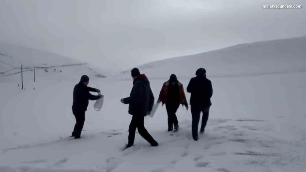 Darende'de öğretmen ve öğrencilerden yaban hayvanlarını unutmadı