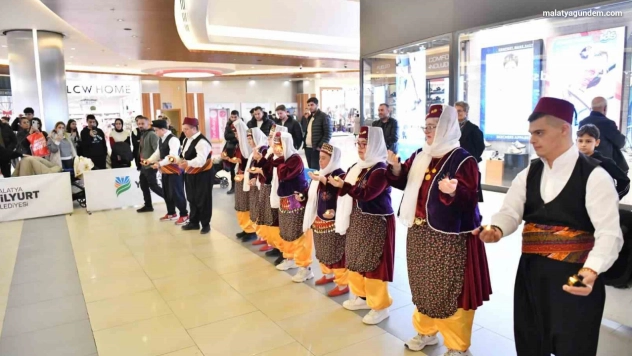 Malatya'da 3 Aralık Dünya Engelliler Günü etkinliği