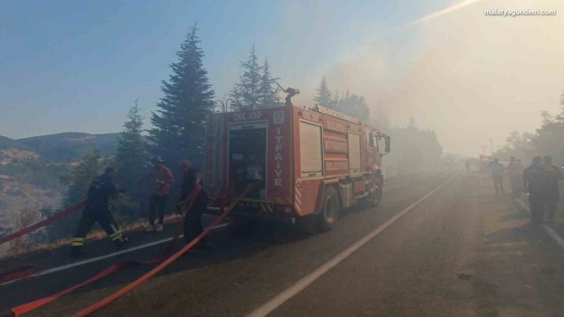Malatya'daki orman yangınına havadan ve karadan müdahale sürüyor