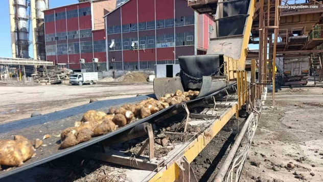 Şeker Fabrikası'nda 62 bin ton şeker üretimi hedefleniyor