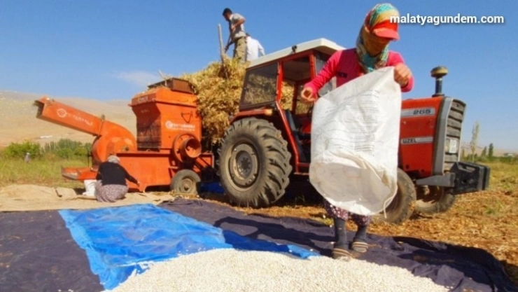 'Tarladan halka' fasulye ilgi görüyor
