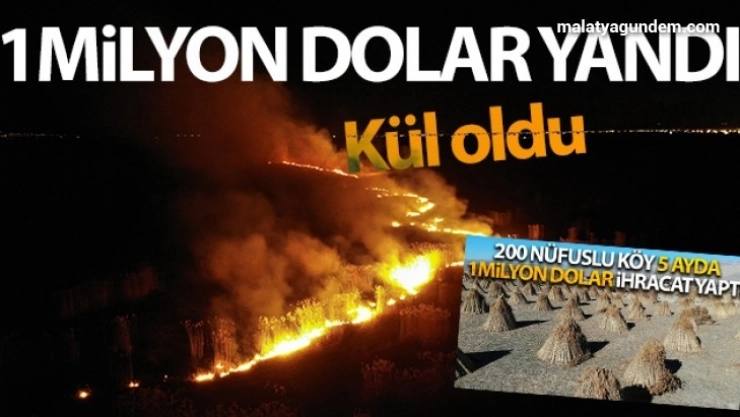 1 milyon dolar yanarak kül oldu