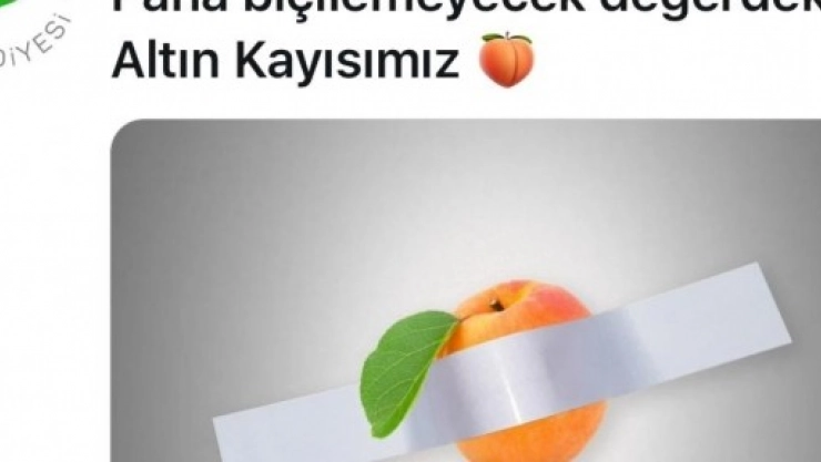 120 Bin Dolarlık Muza Kayısılı Gönderme