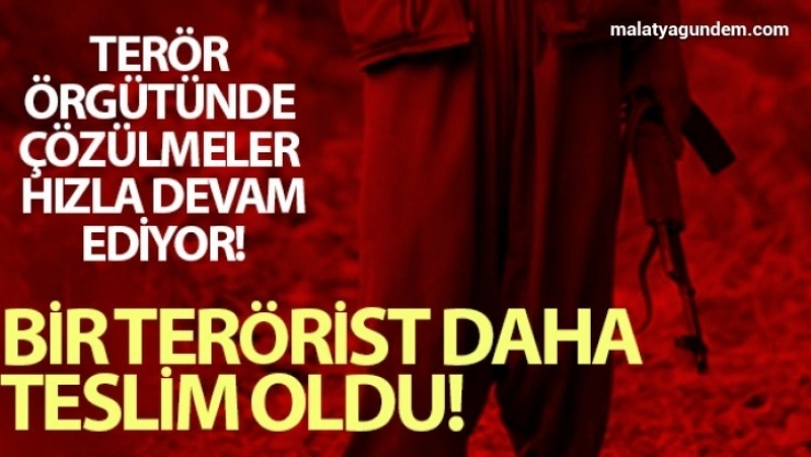 20 yıllık terörist teslim oldu