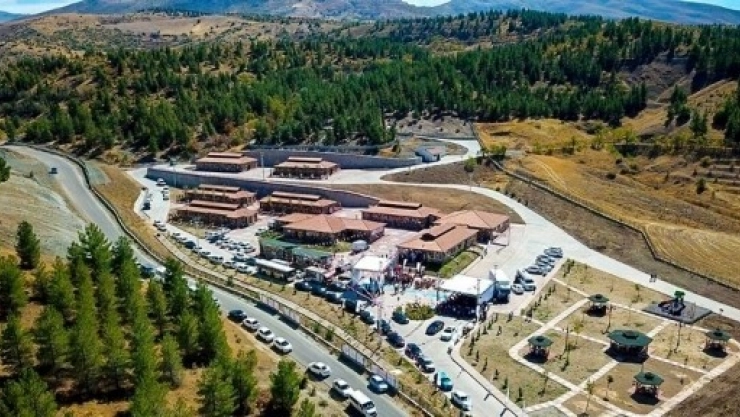 2018 Yılı İçerisinde 2 Bin Sokak Hayvanının Bakımı Yapıldı