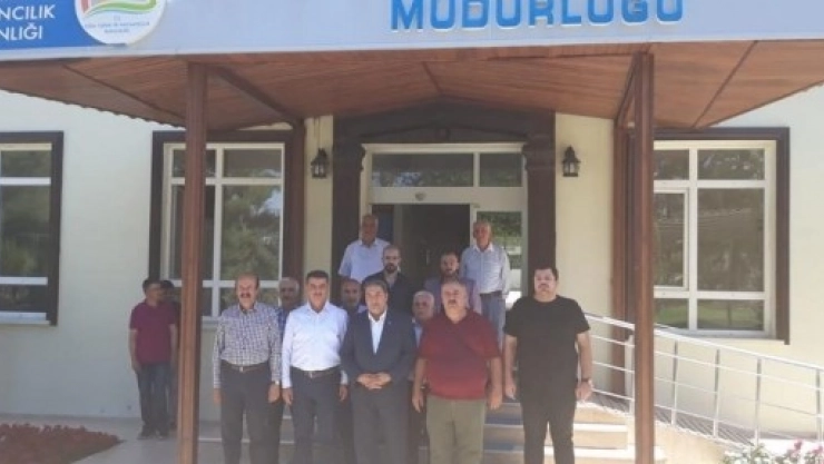 2019 Dünya Kayısı Sempozyumu Malatya'da Yapılacak