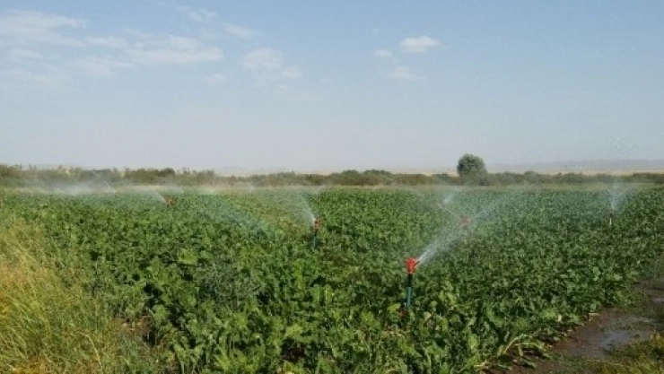 2019 Yılı Bireysel Sulama Hibe Hakkı Kazanan Çiftçiler Açıklandı