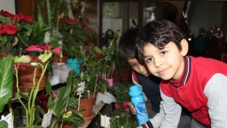 493 Öğrenci Okulda Çiçek Yetiştirdi