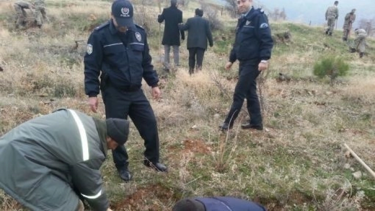 5 Bin 500 Fidan Toprakla Buluşturuldu