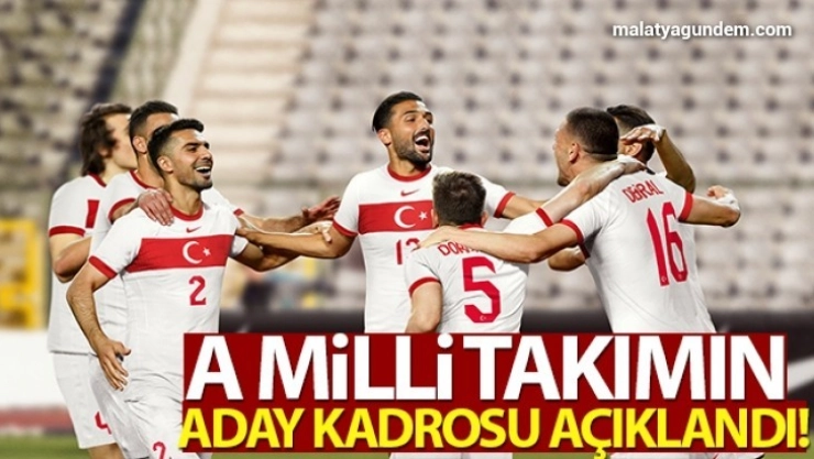 A Milli Takımın aday kadrosu açıklandı