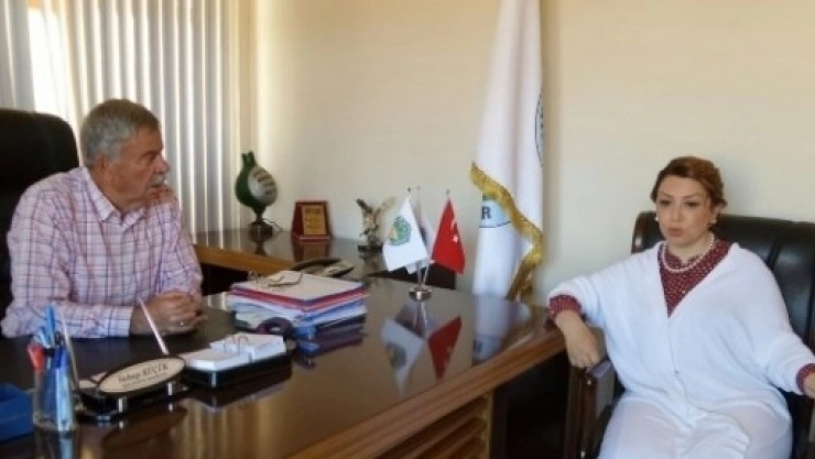 Çalık: 'Saldırılar Ülkemizin Birliğine Yöneliktir'