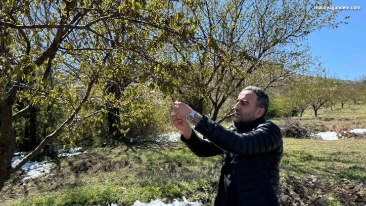 Ulutaş Üreticilerimiz mağdur edilmeyecektir