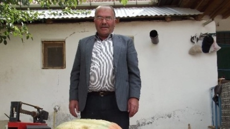 Akçadağ'da 150 Kg Ağırlığında Bal Kabağı Üretildi
