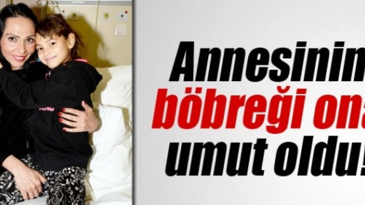 Annesinin Böbreğiyle Kayata Tutundu