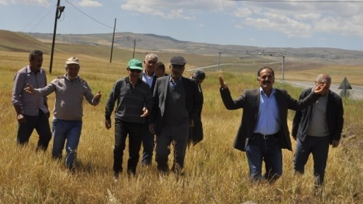 Arguvan'da Yaşanan Kuraklık Çiftçileri Zor Durumda Bıraktı