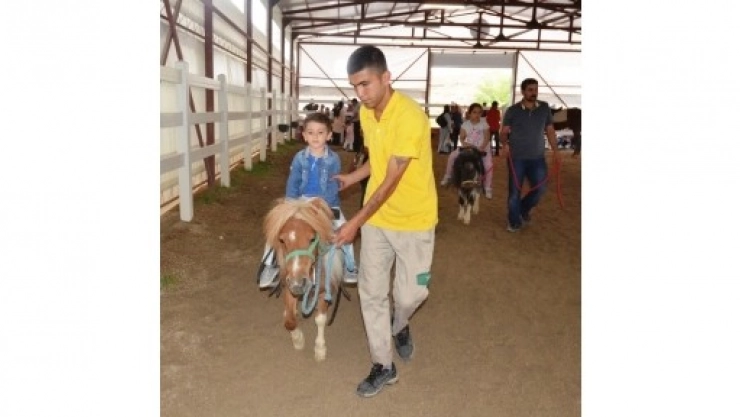 Atlı Terapi'ye  İlgi Büyük