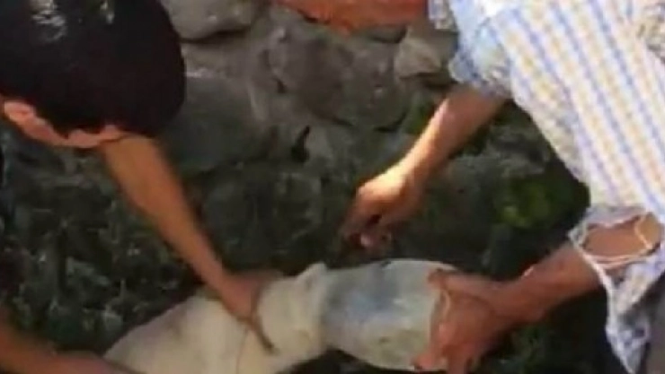 Baba Oğuldan Örnek Davranış