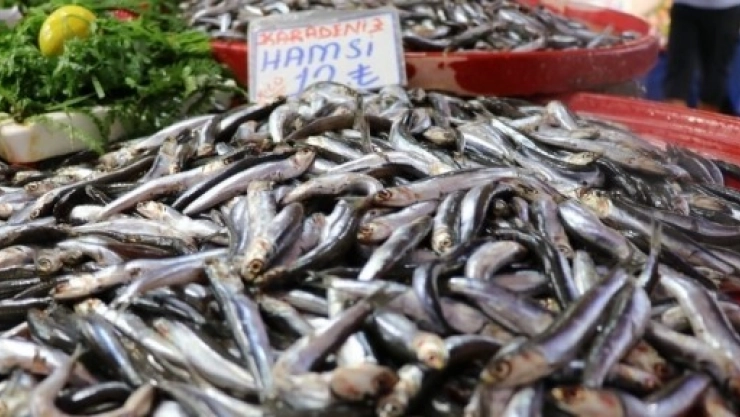 Balıklar Tezgahları Süsledi