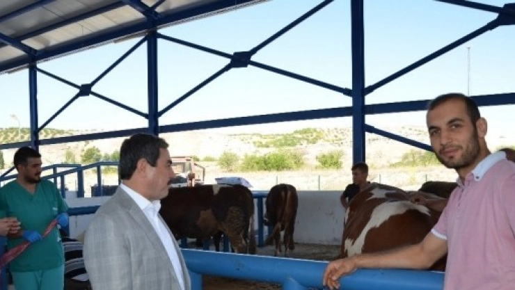 Başkan Eser Kurban Pazarında İncelemelerde Bulundu