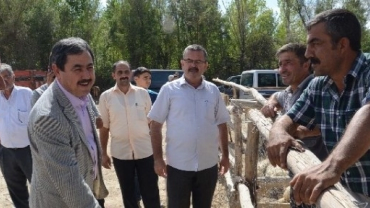 Başkan Eser Kurbanlık Hayvan Satış Pazarını Ziyaret Etti
