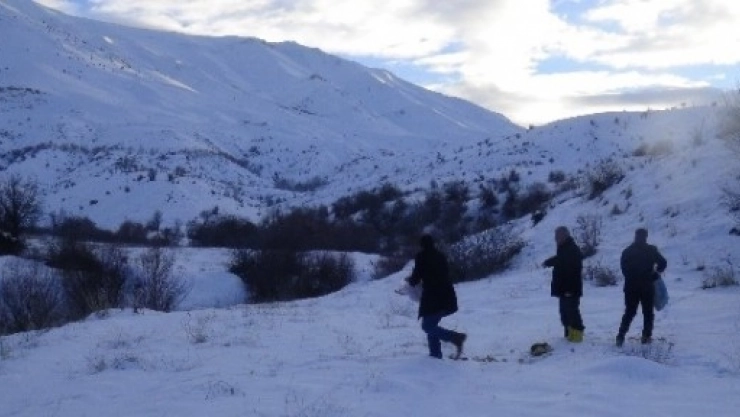 Küçük, Yaban Hayvanları İçin Doğaya Yem Bıraktı