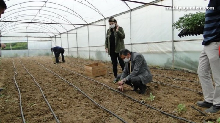 Battalgazi'de fide dikimi yaygınlaştırılıyor
