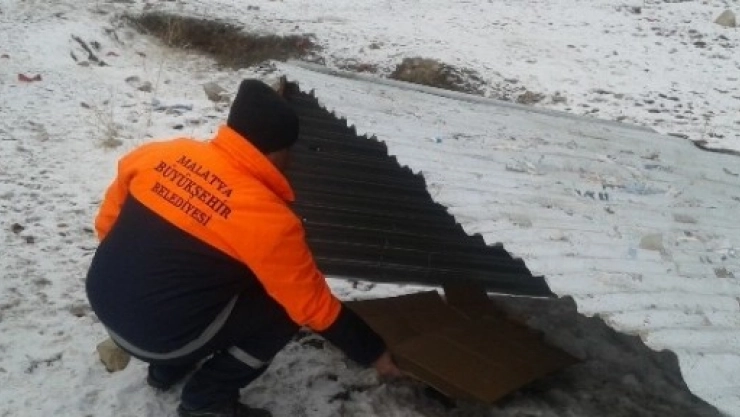 Büyükşehirden Sokak Hayvanları İçin Barınak
