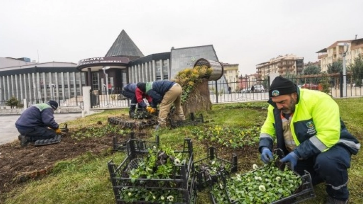 Çiçek Dikim Çalışmalarına Başlandı