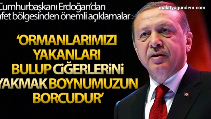 Cumhurbaşkanı Erdoğan: Yangın bölgesinden önemli açıklamalar