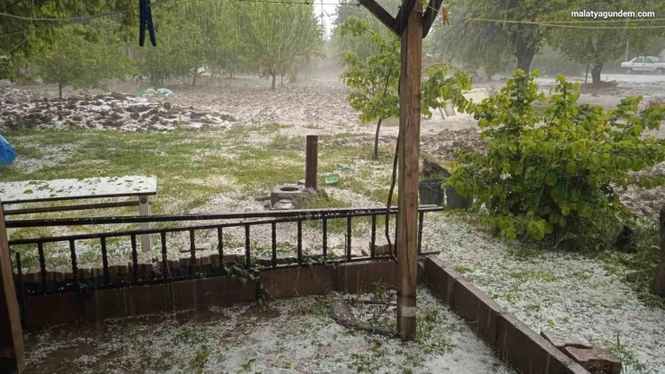 Dolu yağışı kayısıya zarar verdi