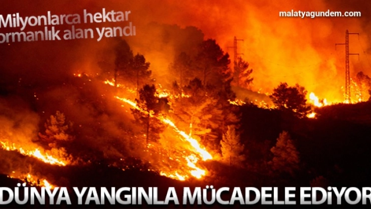 Dünya yangınla mücadele ediyor