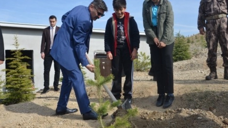 Emniyet Müdürlüğünden Fidan Dikimi