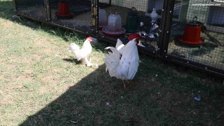 Engelsiz Yaşam Merkezi'nden yeni rehabilitasyon uygulaması