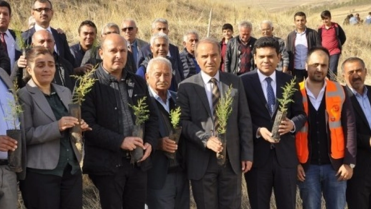 Fidan Dikme Kampanyası