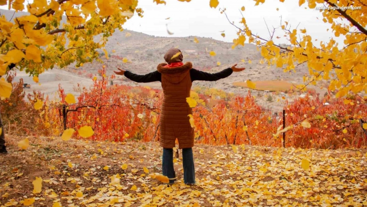 Fotoğraf kursiyerlerinden bağköylerinde sonbahar gezisi