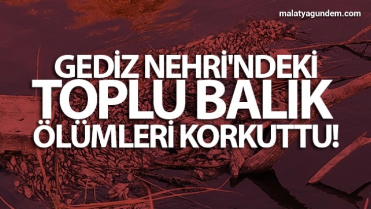 Gediz Nehri'ndeki toplu balık ölümleri korkuttu